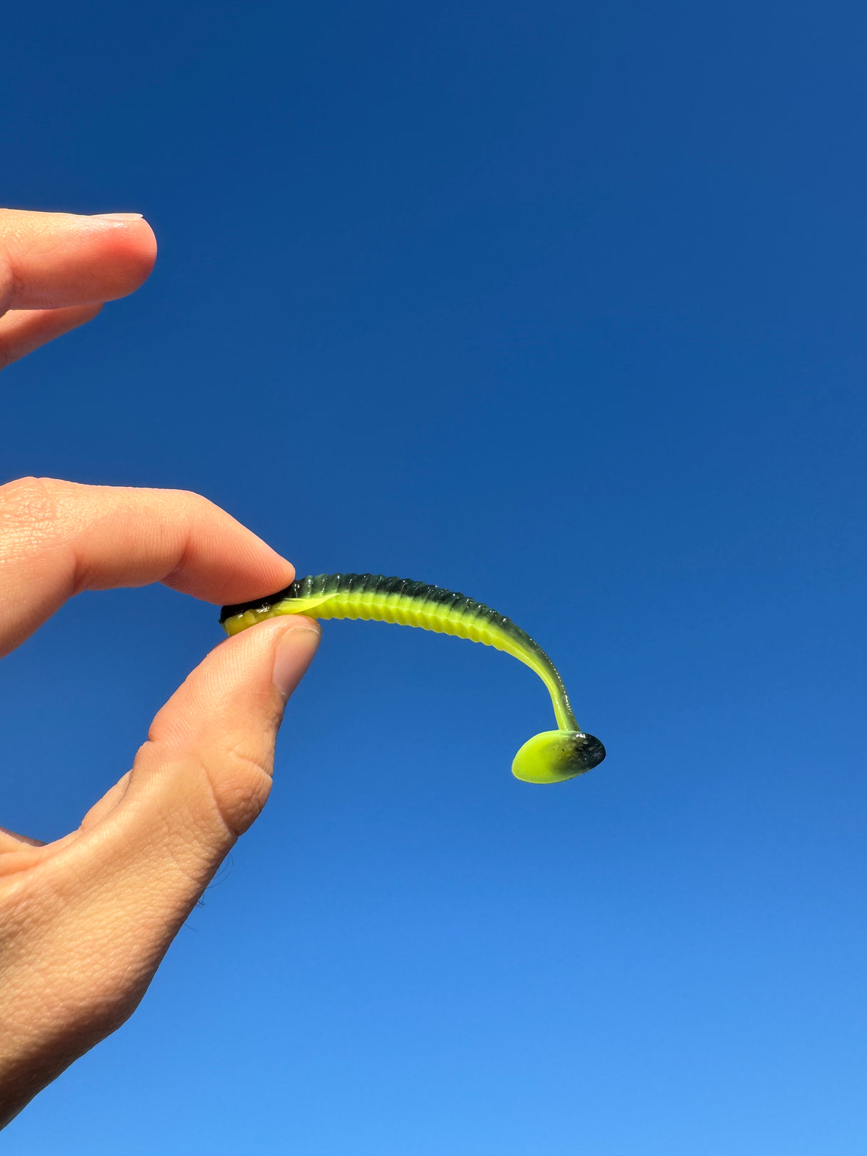 3.5 Inch GrubSpot Soft Plastics